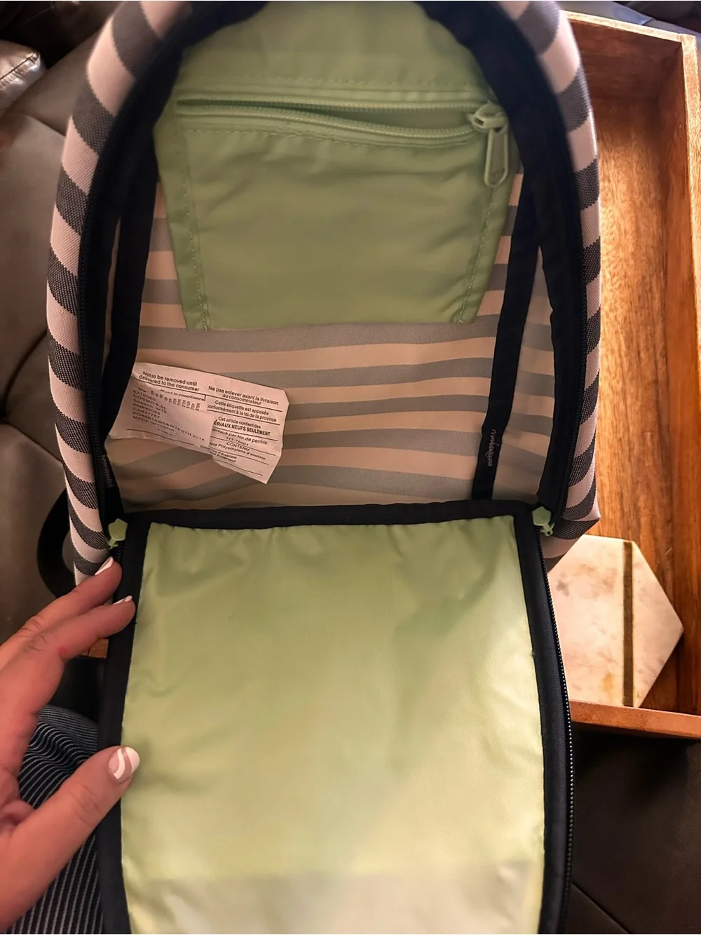 Dakine Gray and White Striped Daypack